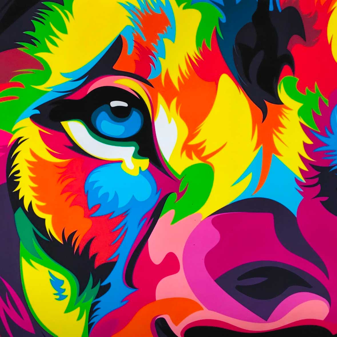 lion couleur